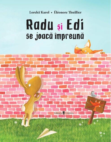 Radu și Edi se joacă împreună