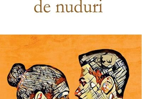 Colecționarul de nuduri