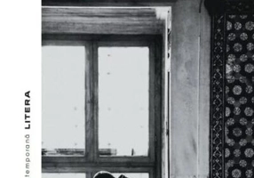 Dragostea când te doare