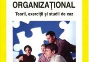 Comportament organizaţional