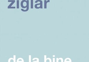 De la bine la excelent