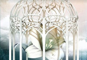 Prizonierii crinului alb