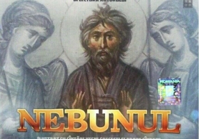 Nebunul (audiobook)