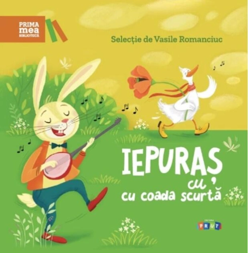 Iepuraș cu coada scurtă