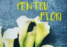 Apă proaspătă pentru flori