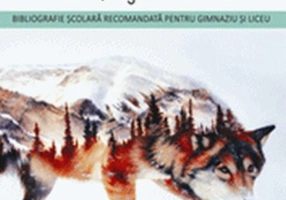 Kazan, regele nordului