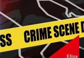 Insomniile unui prinț valah