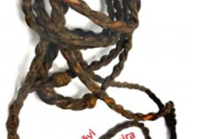 Hazliile isprăvi ale nepotului lui Juan Moreira