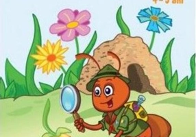 Furnicuța curioasă. Fișe de cunoașterea mediului (4-5 ani)