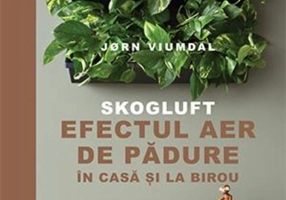 SKOGLUFT. Efectul aer de pădure în casă și la birou