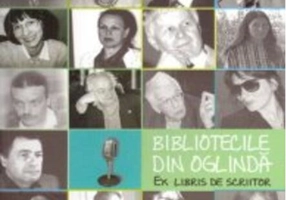 Bibliotecile din oglindă