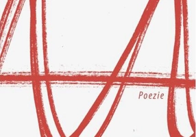 Coerența labirintică