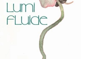 Lumi fluide