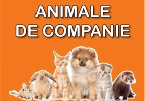 Animale de companie. Sunt mic și vreau să aflu