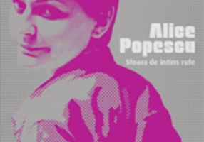 Sfoara de întins rufe