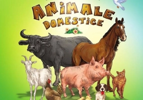 Prima mea enciclopedie | Animale domestice