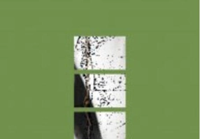 Povestea asasinilor mei