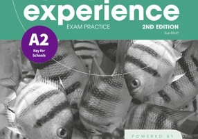 Gold Experience A2 Exam Practice: Cambridge English Preliminary for Schools, 2nd Edition