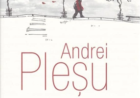 Despre frumuseţea uitată a vieţii