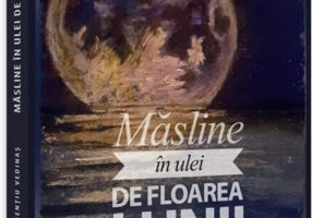Măsline în ulei de floarea lunii