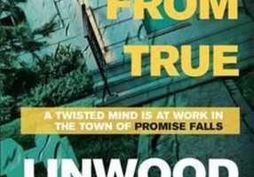 Far From True : (Promise Falls Trilogy Book 2)