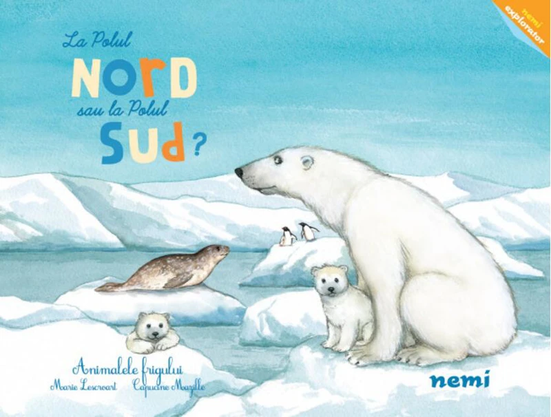 La polul Nord sau la polul Sud?