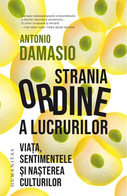 Strania ordine a lucrurilor