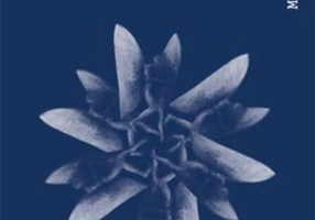 Complexele. Creativitate sau distructivitate?