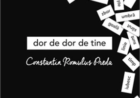 Dor de dor de tine Vol. 1