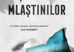 Ținutul mlaștinilor