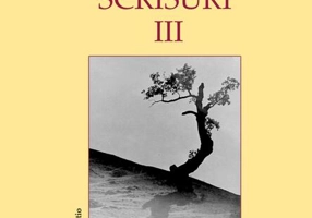 Scrisuri III (1999-2010) - interviuri, dialoguri, articole