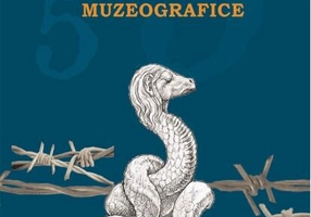 Cinci destine muzeografice (RESIGILAT)