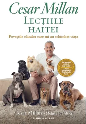 Lecțiile haitei