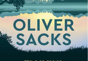 Fluviul conștiinței