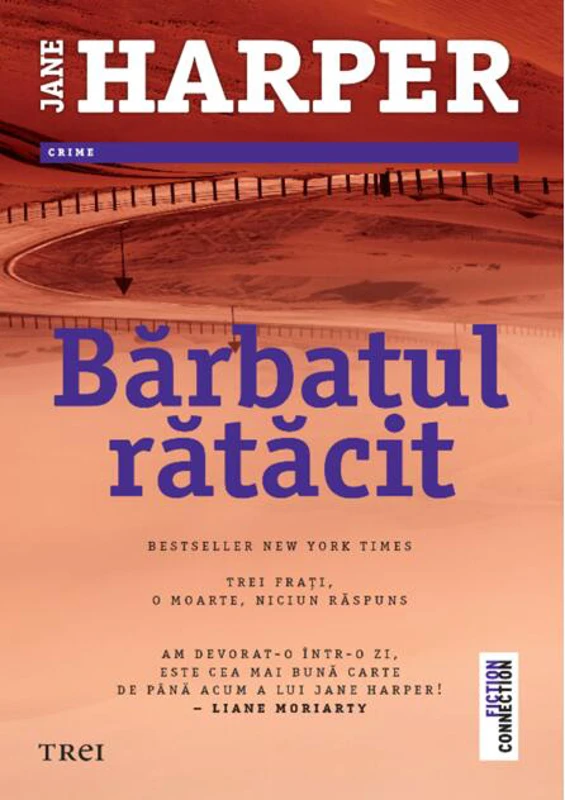 Bărbatul rătăcit