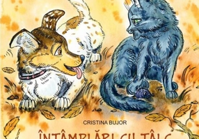 Întâmplări cu tâlc. Despre ceartă