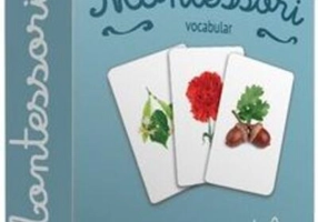 Vocabular. Lumea plantelor (2+ ani) Cărți de joc