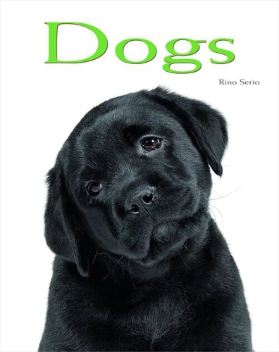 Dogs: Pocket Book