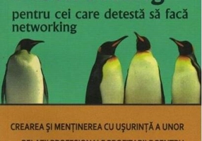 Networking pentru cei care detestă să facă networking