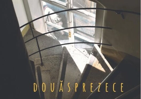 Douăsprezece