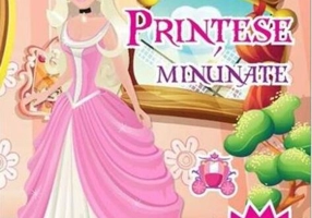 Prințese minunate