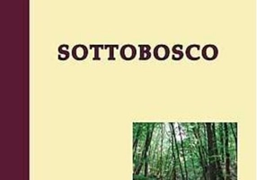 Sottobosco