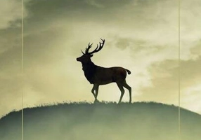 Când tăcerea vorbește