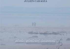 Nimic, nimicuri, insomnii