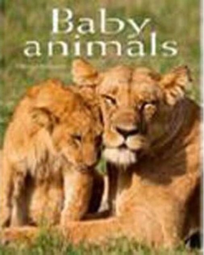 Baby Animals. Pocket Book