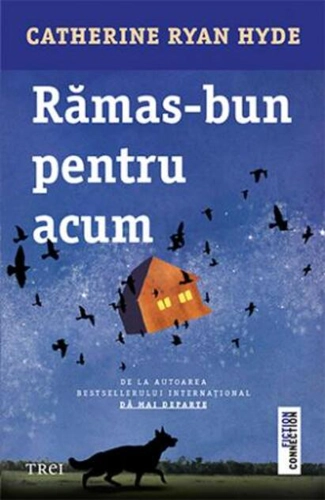 Rămas-bun pentru acum