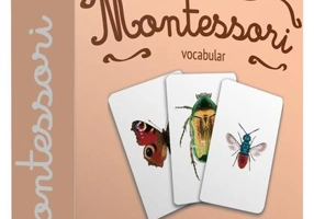 Insecte din România. Cărţi de joc Montessori