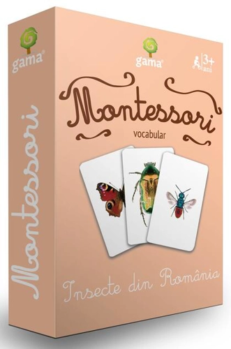 Insecte din România. Cărţi de joc Montessori
