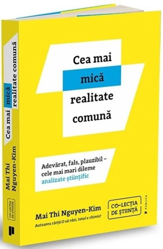 Cea mai mică realitate comună