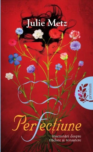 Perfecţiune
